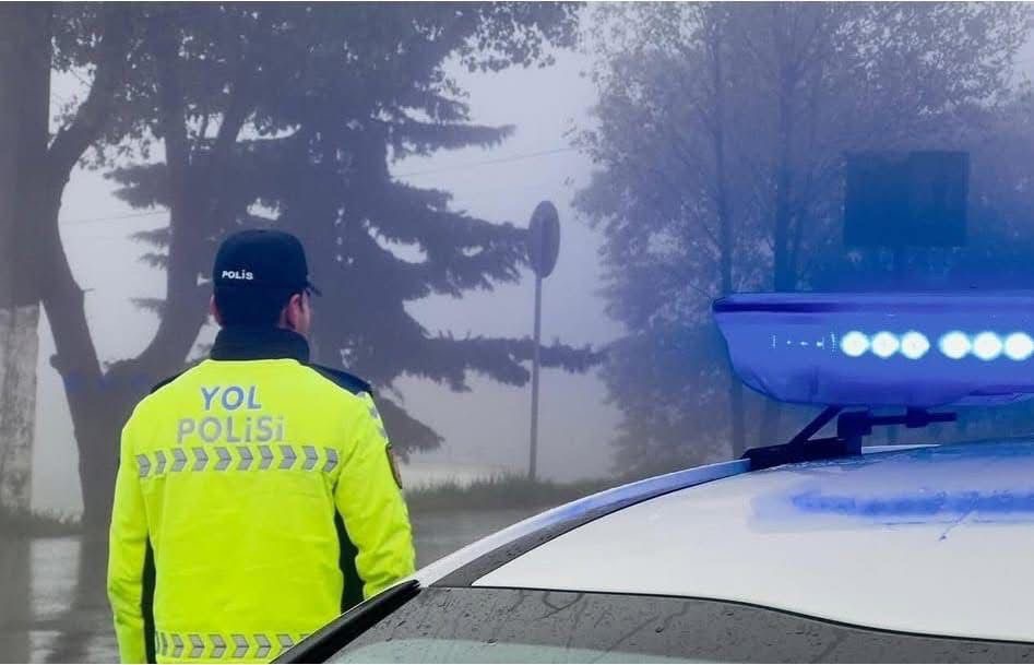 Güclü külək İsmayıllı-Şəki yolunda ağacı aşırıb – BDYPİ-dən xəbərdarlıq