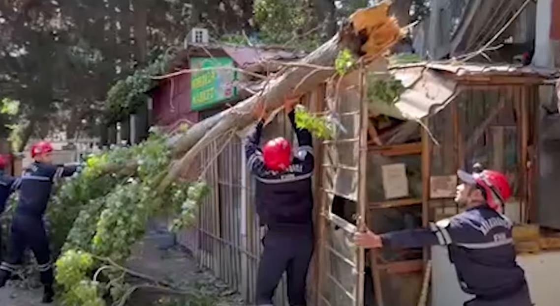 FHN: Güclü küləyin fəsadlarının aradan qaldırılması üzrə işlər davam edir
