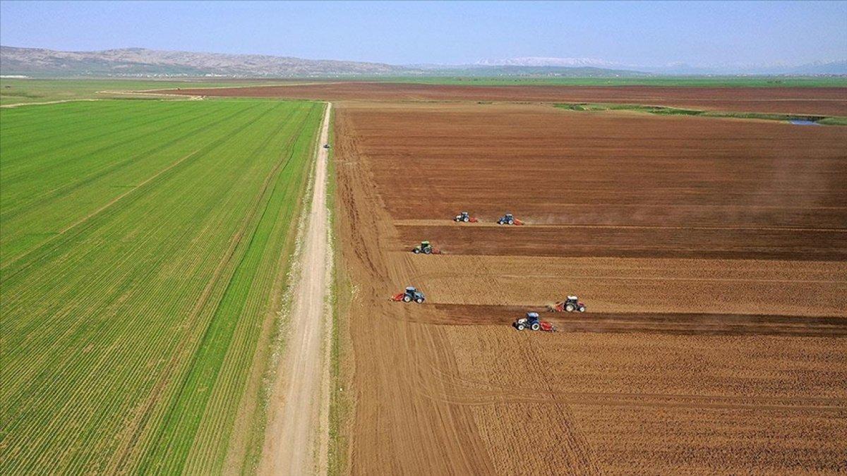 Azərbaycanda torpaq sahələri üzərində hüquqların özəl tərəfdaşa ötürülməsi qaydası dəyişir