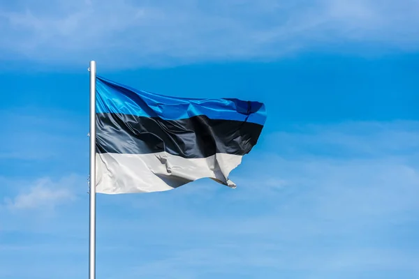Estoniya parlamenti sentyabrın 2-də prezident seçkiləri keçirəcək