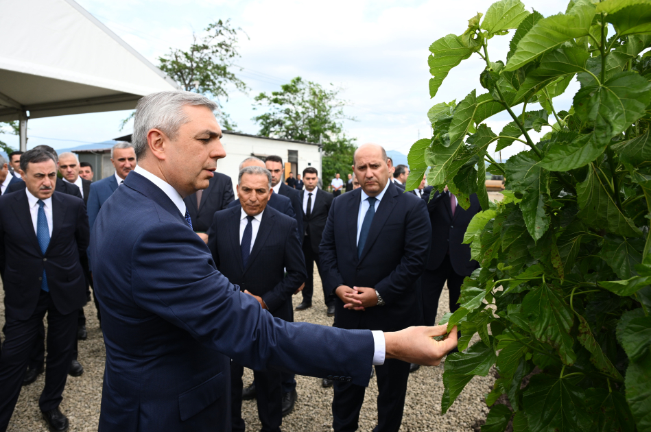 Xocalının Daşbulaq kəndində baramaçılığın inkişafı üçün yaradılmış infrastruktura baxış keçirilib