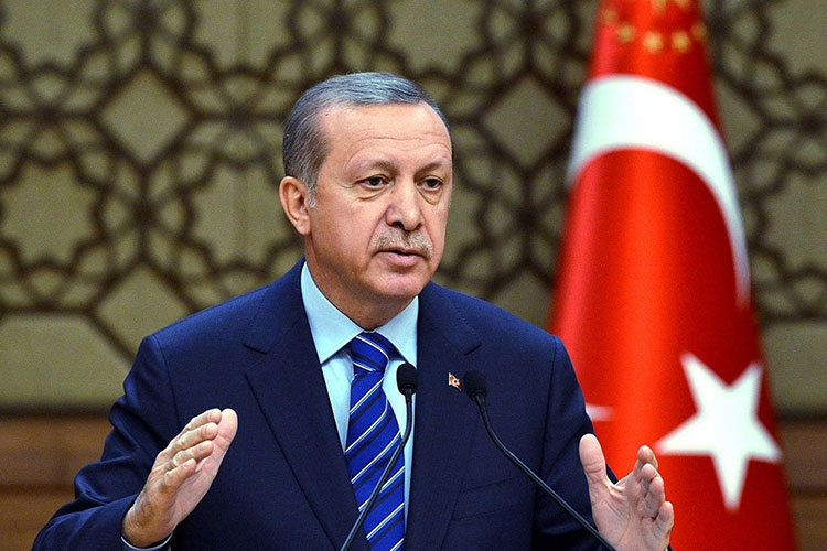Rəcəb Tayyib Ərdoğan polşalı həmkarı Karol Navrotski ilə görüşüb