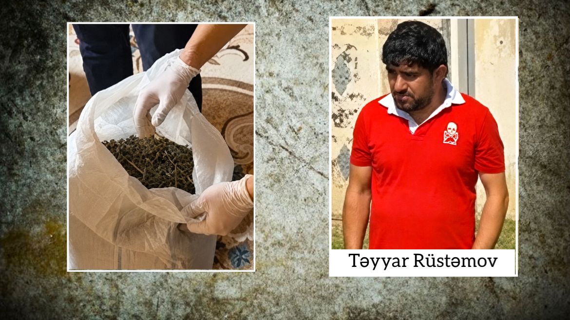 Ağcabədidə çətənə kolları və 7 kiloqramdan artıq marixuana aşkarlanıb