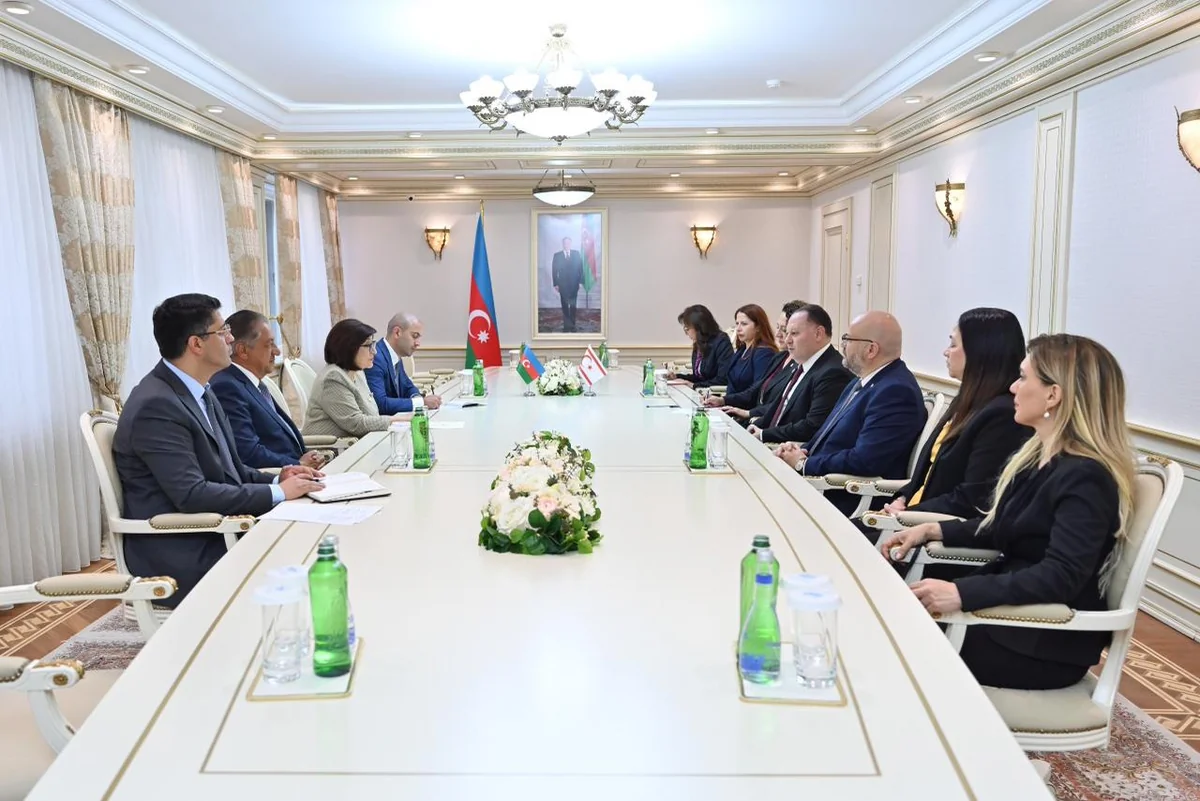 Sahibə Qafarova Şimali Kipr Məclisinin sədri ilə görüşüb