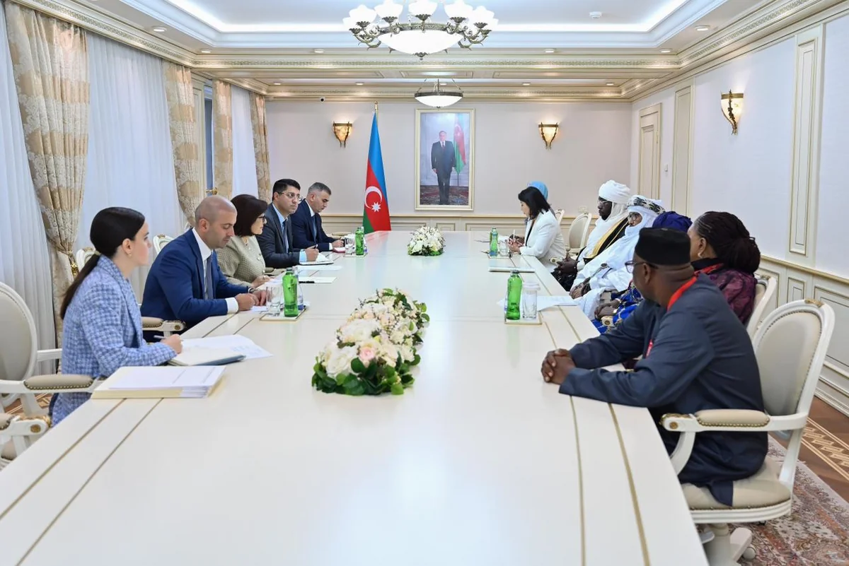 Sahibə Qafarova Afrika Qrupu parlament sədrlərinin müavinləri ilə görüşüb