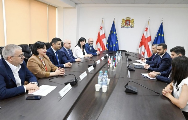 DSMF sədri Gürcüstan Sosial Xidmət Agentliyinin direktoru ilə görüşüb