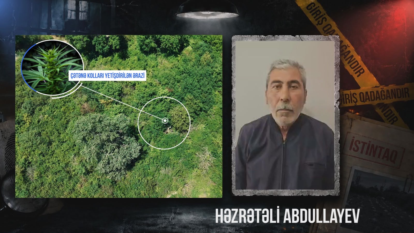 Qaxda çay sahilində çətənə kolu yetişdirən şəxs saxlanılıb