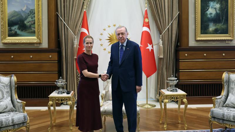 Ərdoğan Kaya Kallas ilə görüşüb