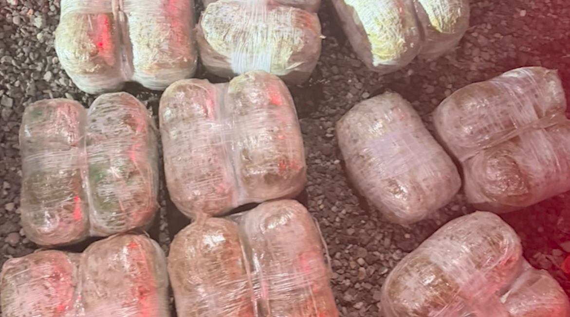 Sabunçu rayonunda 19 kiloqramdan artıq marixuana aşkarlanıb