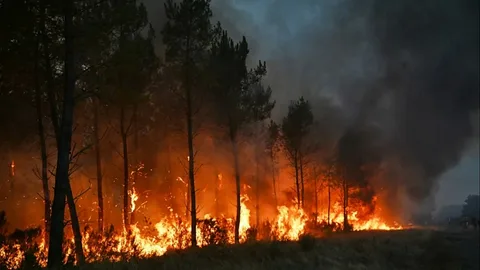 Fransa Bordodakı yanğın fonunda yeni istilik dalğasına hazırlaşır