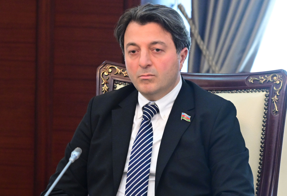 Tural Gəncəliyev: ATƏT sədrinin Bakı səfəri əməkdaşlıq üçün yeni imkanlar açır
