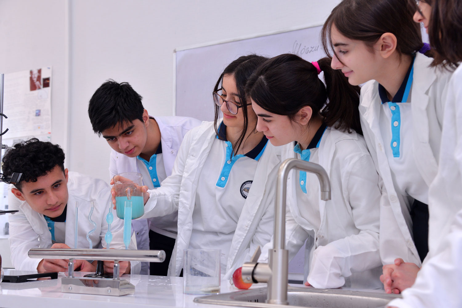 Yeni təmayül tədris modeli üzrə 7 mindən çox şagird müraciət edib