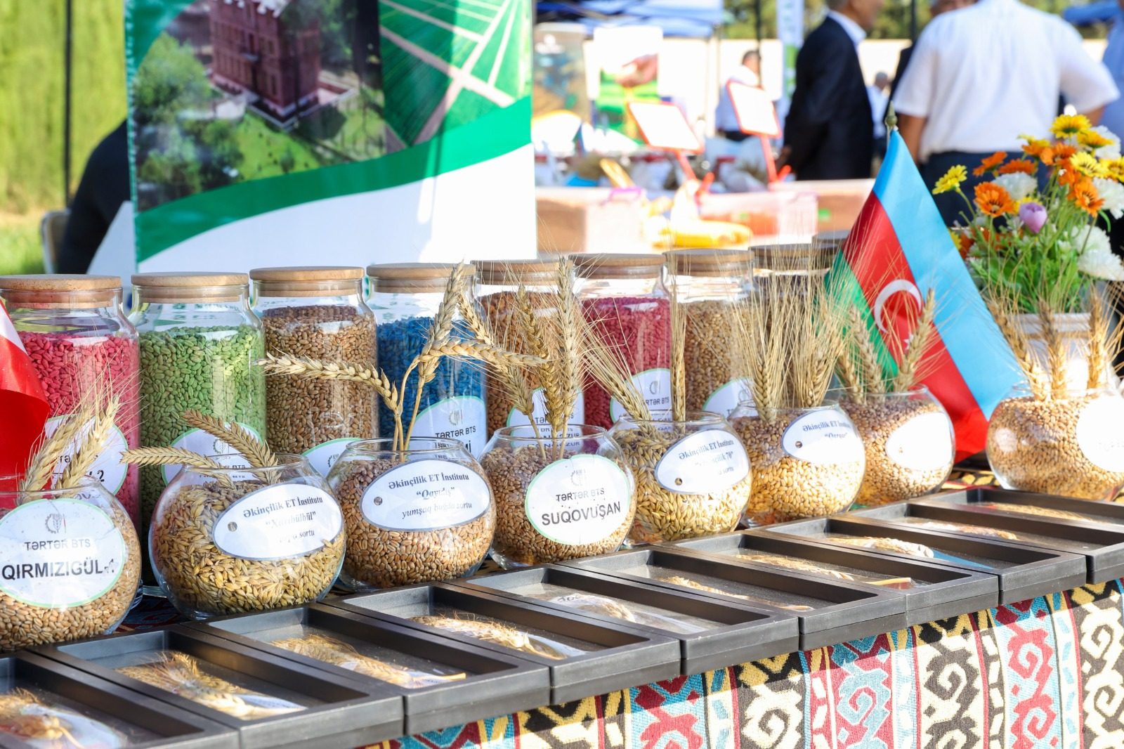Ağcabədidə Aqrar Biznes Festivalı və mövsümün ilk Toxum Sərgi-Satış Yarmarkası keçirilib