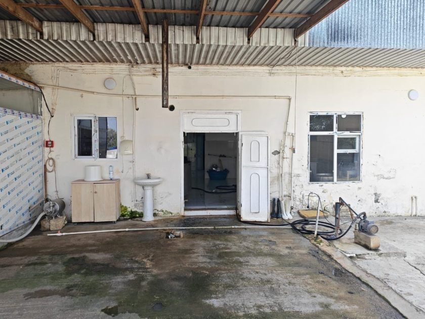 Ağcabədidə pendir istehsalı müəssisəsində nöqsanlar aşkarlanıb