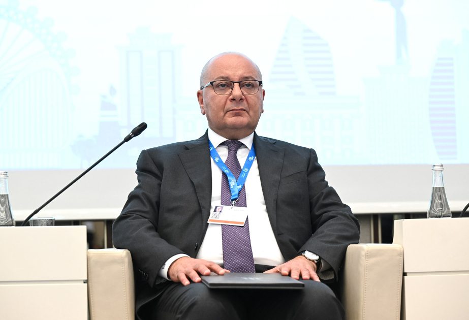 ANAMA sədri: Ərazilərin minalanması ekosistemin təhlükəsizliyinə təsir edən problemdir