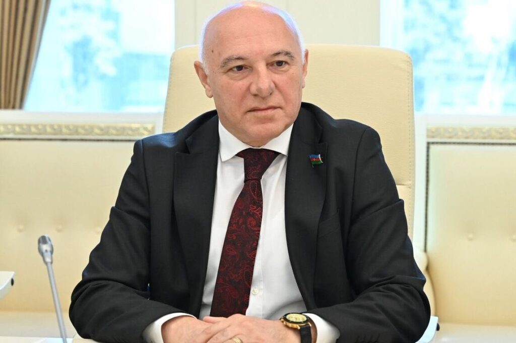 Arzuxan Əlizadə: "Qafqaz Albaniyasının tarixi irsi beynəlxalq platformalara çıxarılmalıdır"