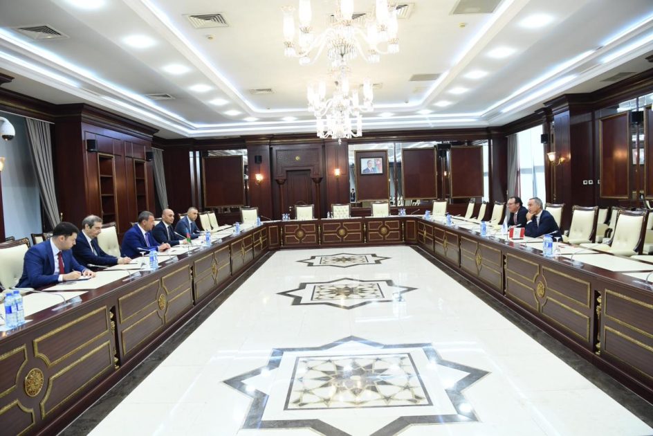 ATƏT PA-nın prezidenti Milli Məclisdə olub