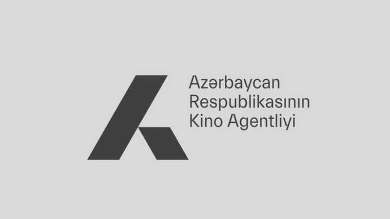 AKİ-nin sədrinin səlahiyyətləri Şəfiqə Məmmədovaya həvalə edilib