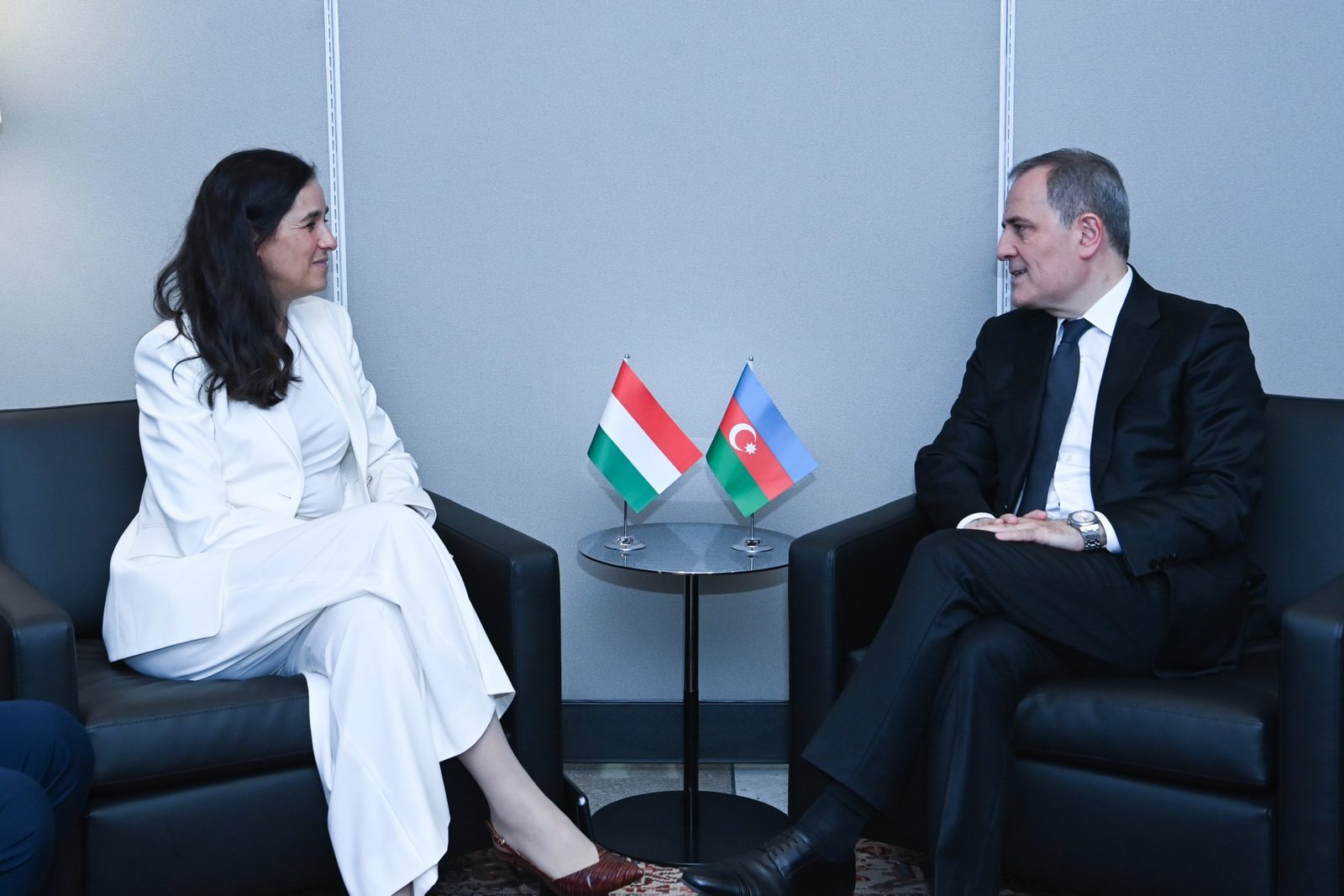 Azerbaijan, Hungary discuss bilateral relations