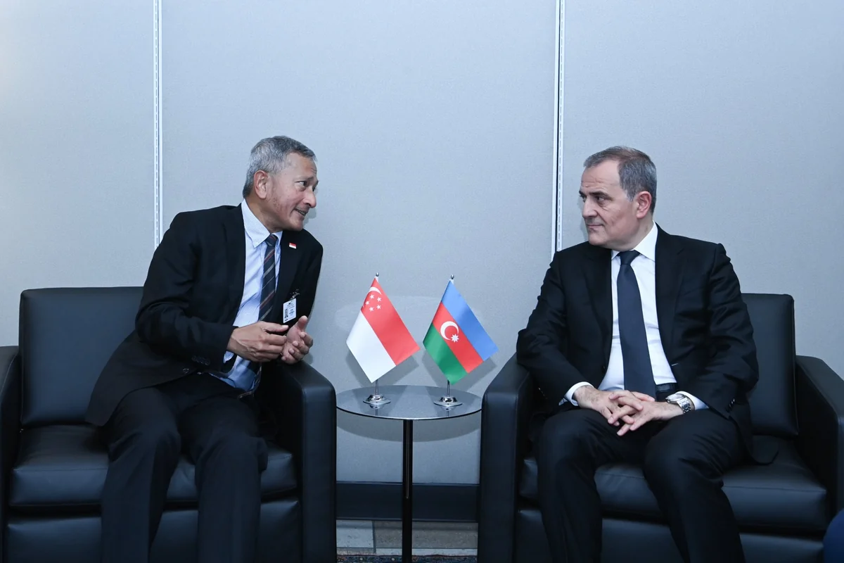 Azerbaijan and Singapore discuss new cooperation opportunities