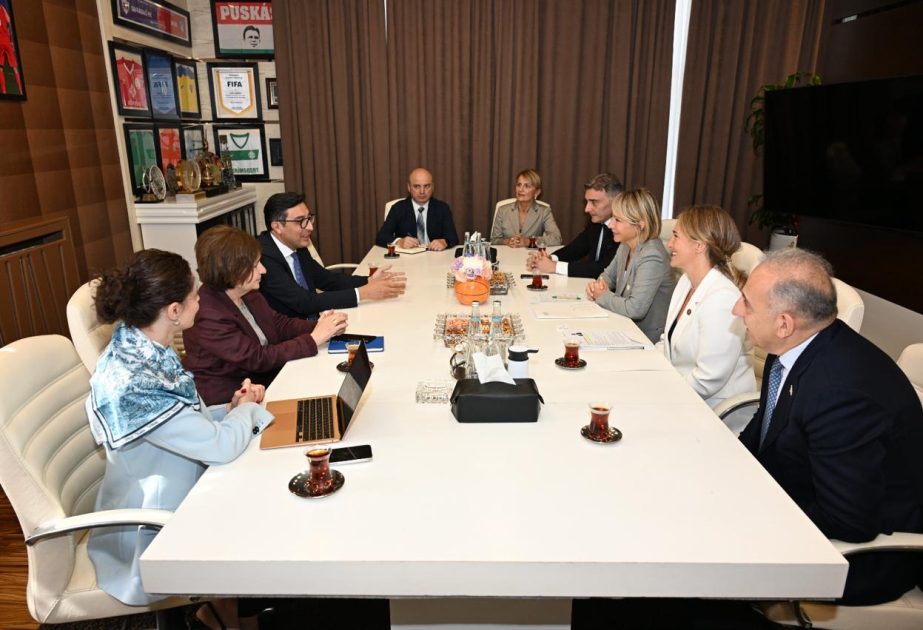 Azərbaycanla Gürcüstan arasında gənclər və idman sahəsində əməkdaşlıq genişləndirilir