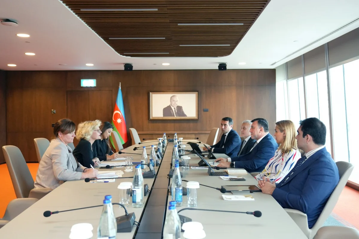 Bakı və Berlin yeni birgə layihələrin reallaşdırılmasını nəzərdən keçirir