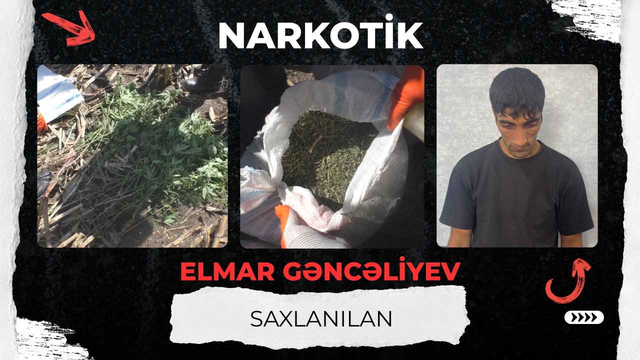  Balakəndə külli miqdarda narkotik vasitə aşkarlanıb