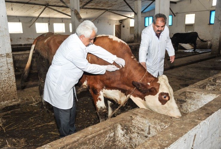 Baytarlıqda rəqəmsal nəzarət tətbiq olunacaq, özəl mütəxəssislər işə cəlb ediləcək