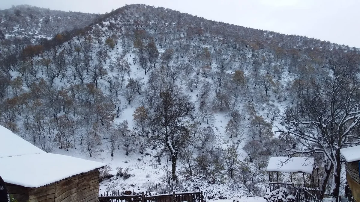 Dağlıq ərazilərdə qar yağacaq