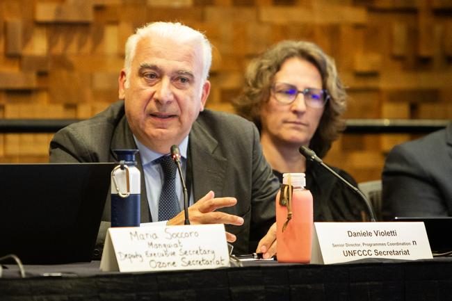 Daniele Violetti: İqlim maliyyələşməsi üzrə yeni imkanlar açılmalıdır