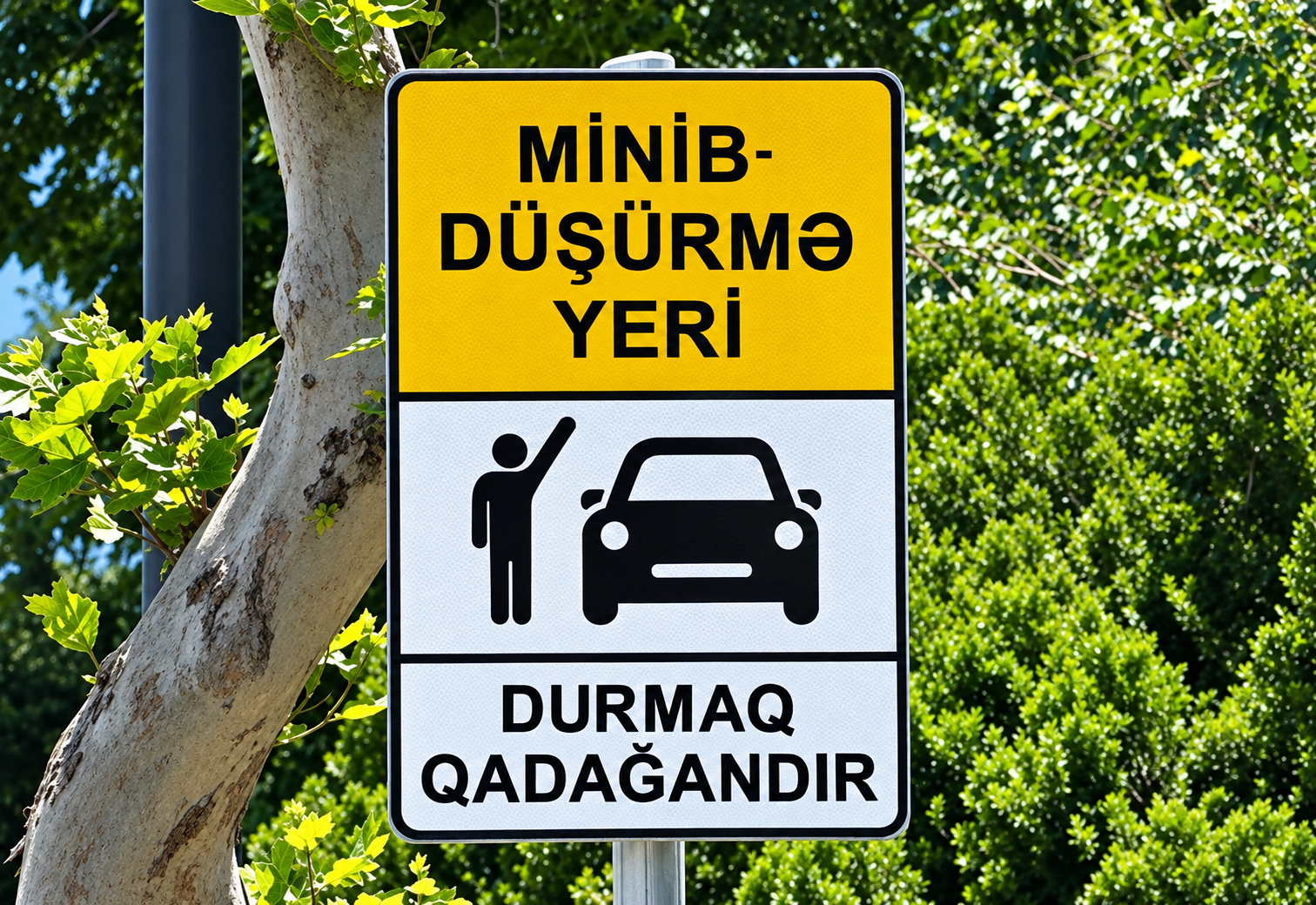 Ekspert: Məktəblərin qarşısında minib-düşmə yerləri yaradılmalıdır