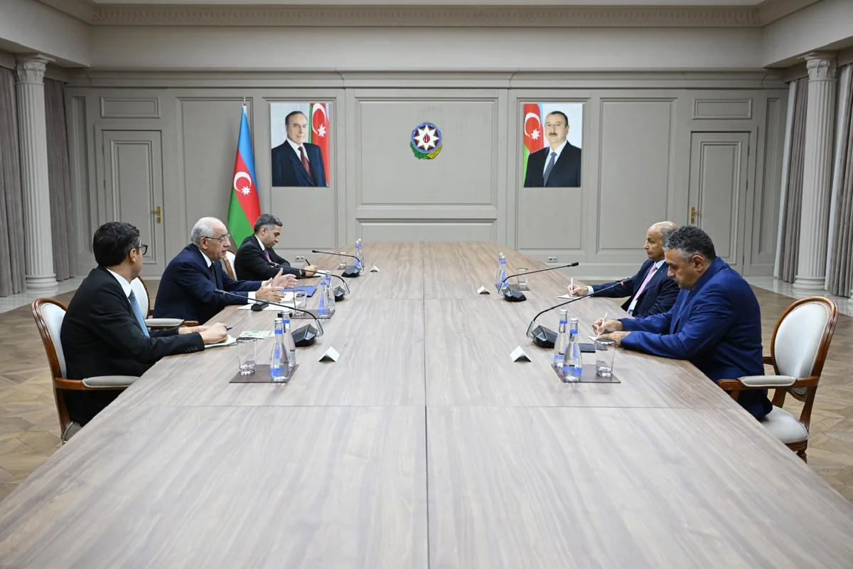 Əli Əsədov Beynəlxalq Üzgüçülük Federasiyasının prezidenti ilə görüşüb
