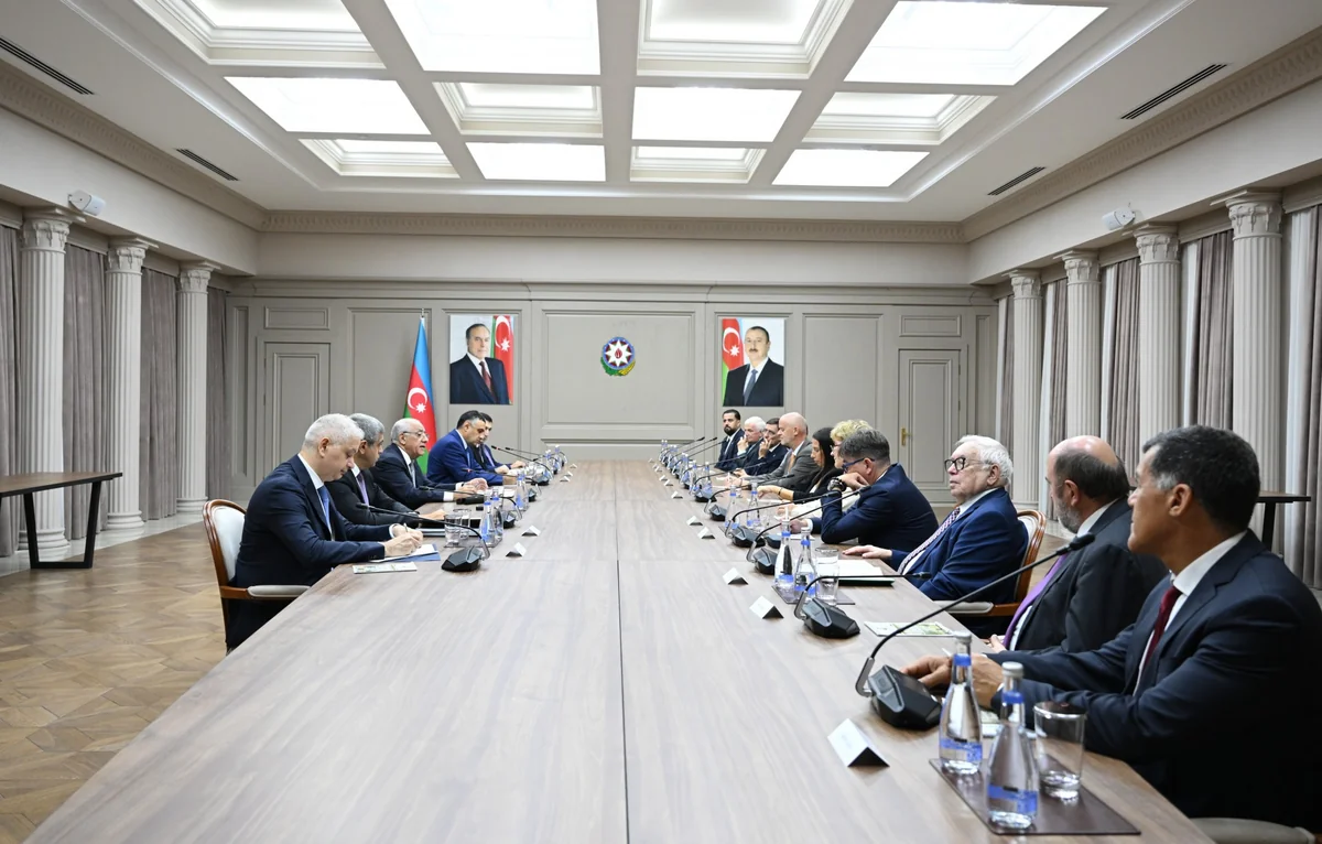 Əli Əsədov beynəlxalq və xarici ölkələrin paralimpiya komitələrinin rəhbər şəxsləri ilə görüşüb