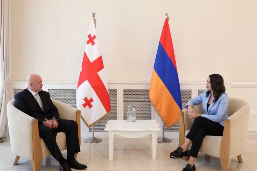 Ermənistan daxili işlər naziri Gürcüstana səfər edib