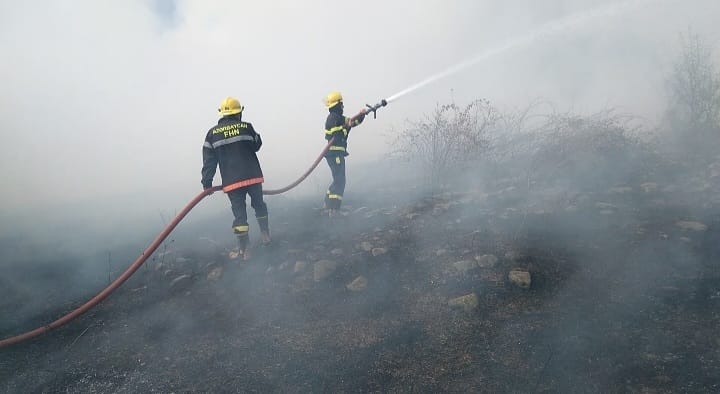 FHN: Ağsuda dağlıq ərazidə yanğın baş verib
