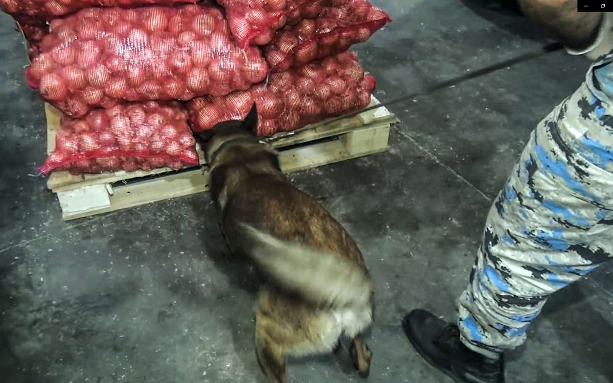“Biləsuvar” gömrük postunda marixuana aşkar edilib