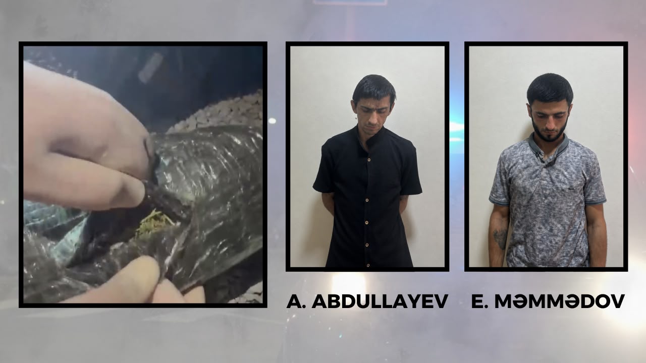 Göyçayda 3 kiloqramdan artıq narkotik vasitə aşkarlanıb