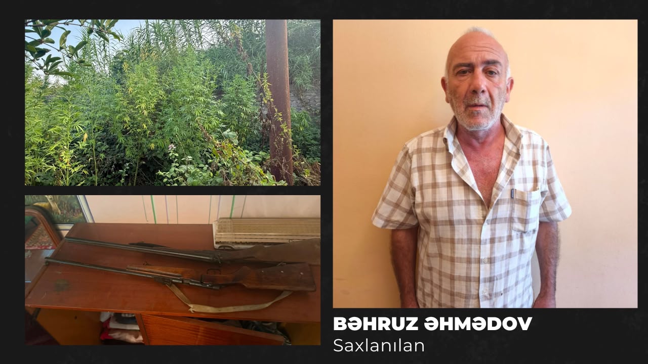 Göyçayda narkotik tərkibli bitkilər yetişdirən şəxs tutulub