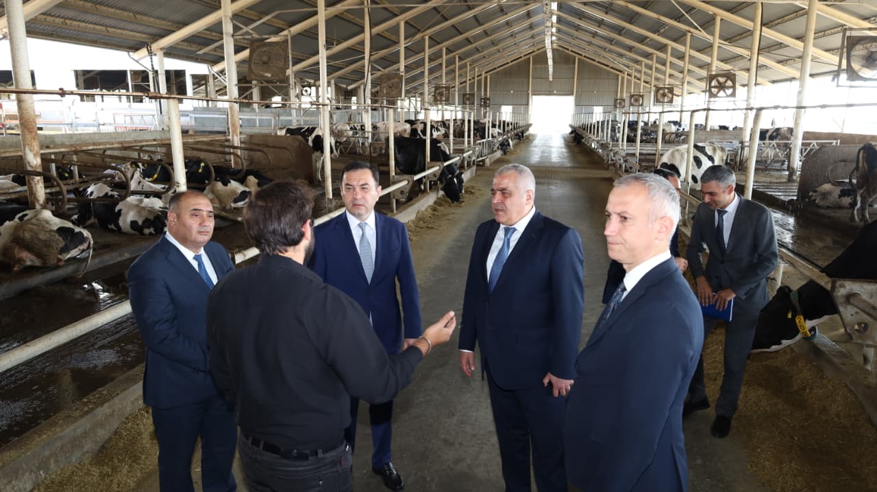 İsmayıllı rayonunda Dövlət Proqramının icrası ilə bağlı tədbir keçirilib