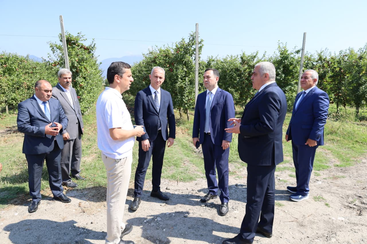 İsmayıllı rayonunda Dövlət Proqramının icrası ilə bağlı tədbir keçirilib