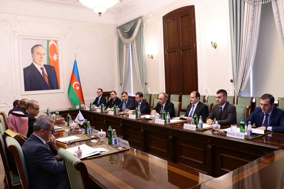 Kamran Aliyev Discusses Cooperation with OIC Secretary General
