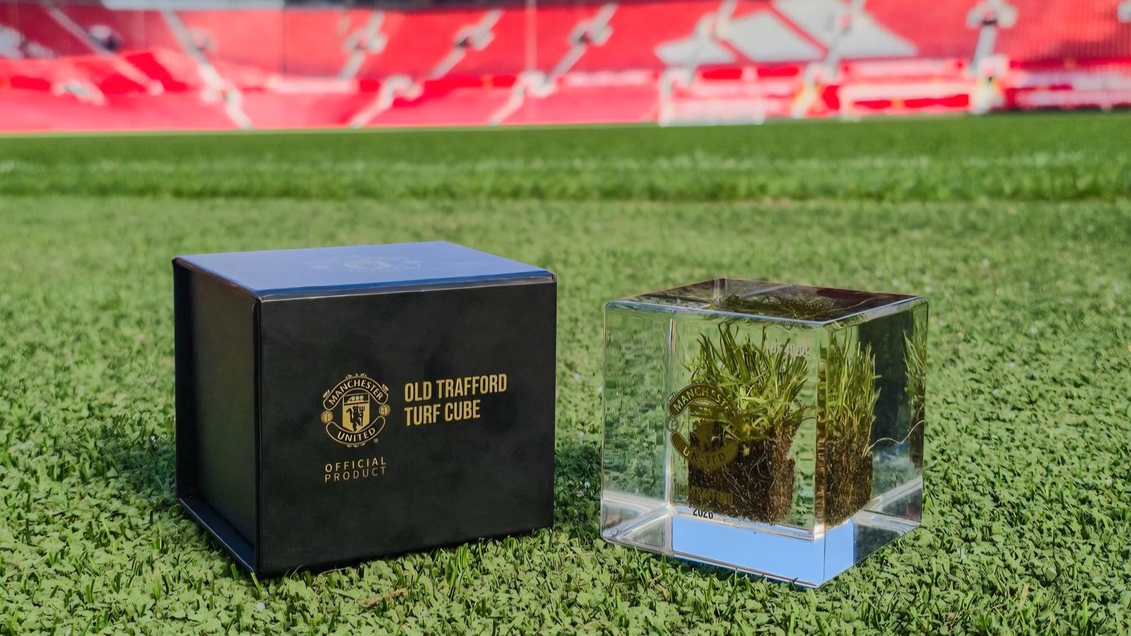 “Mançester Yunayted” “Old Trafford”un otlarını satışa çıxarıb
