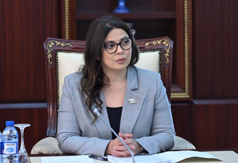 Milli Məclisdə kiberdələduzluqla bağlı yeni təklif: Cinayət Məcəlləsi dəyişdirilə bilər