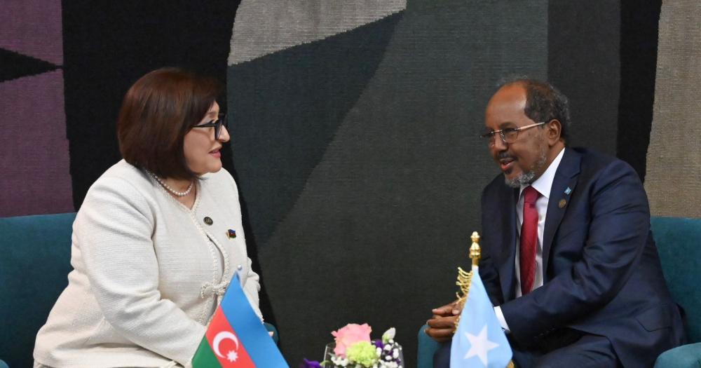 Sahibə Qafarova Somali Prezidenti ilə görüşüb
