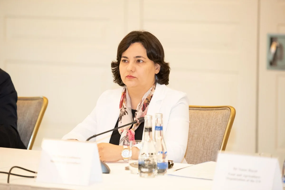 Nazir müavini: "Subsidiya heyvan sayının artırılması üçün deyil, otlaqların yaxşılaşdırılması üçündür"