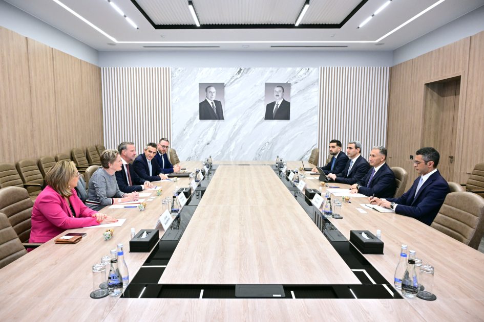 Niderland şirkətinin Azərbaycanda fəaliyyətinin genişləndirilməsi imkanları nəzərdən keçirilib