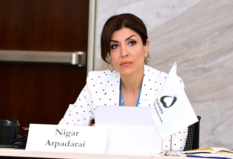 Nigar Arpadarai: Dünyanın bütün ölkələrini bir araya gətirən yeganə birləşdirici gündəm iqlim gündəliyidir