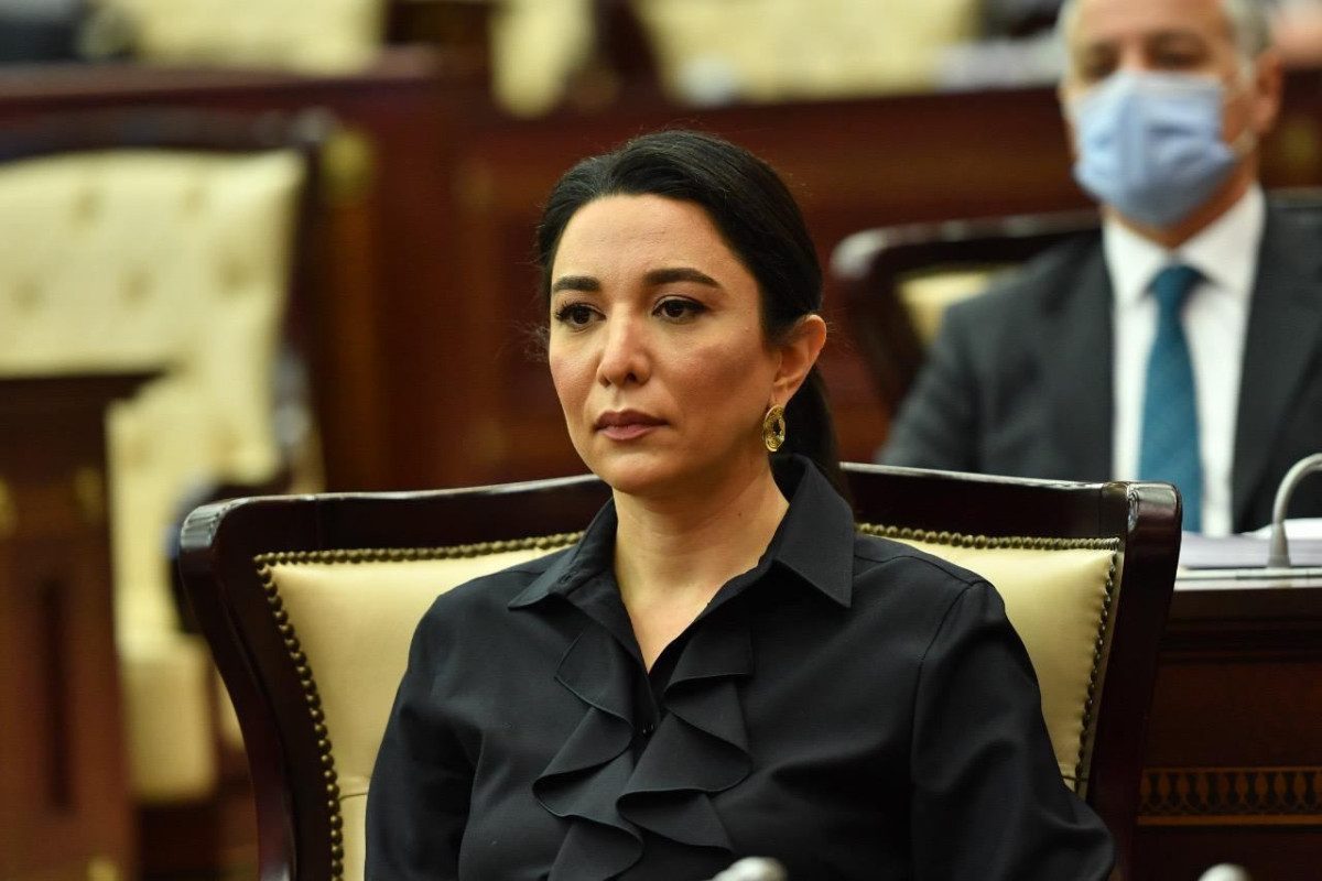 Ombudsman ermənistanlı hüquq müdafiəçisinin səsləndirdiyi əsassız iddialara münasibət bildirib