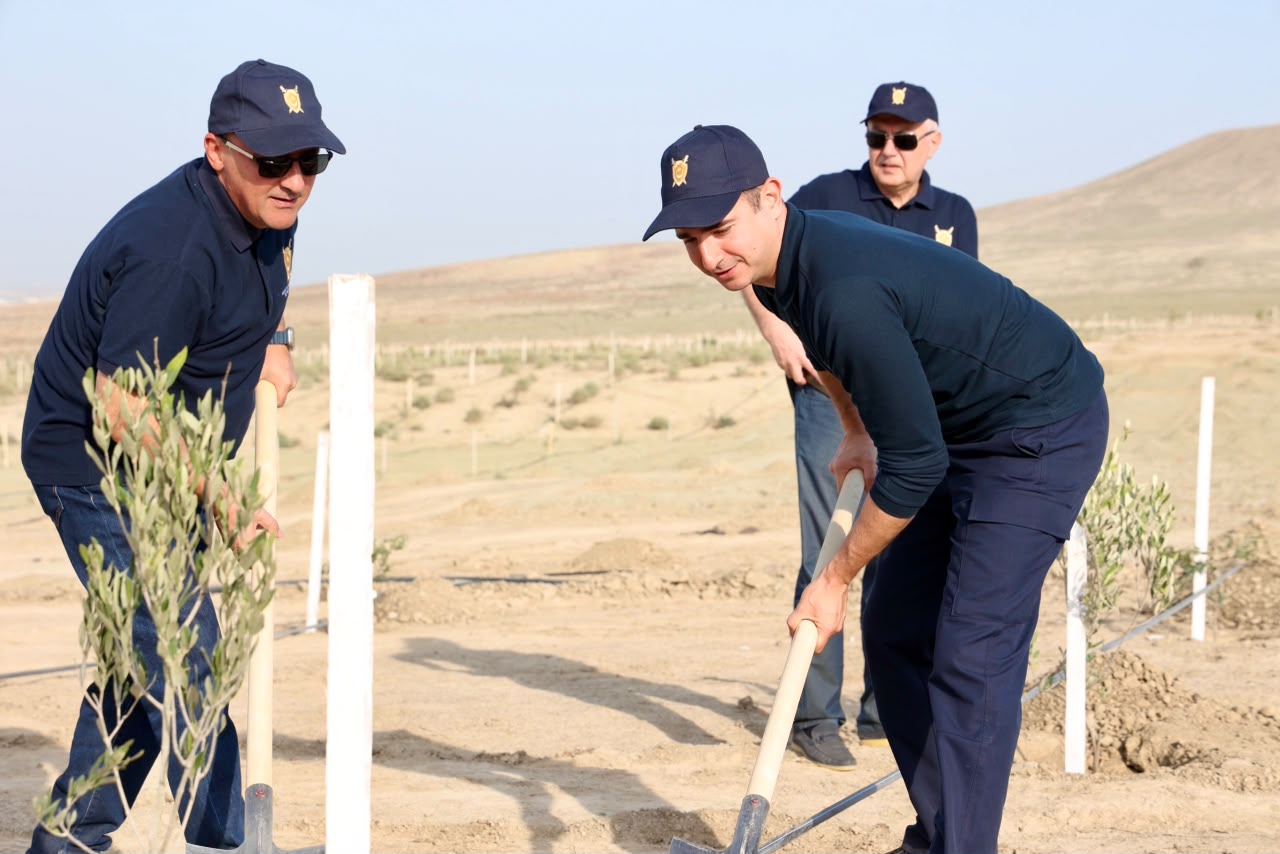 Prokurorluq əməkdaşları ağacəkmə kampaniyası keçirib