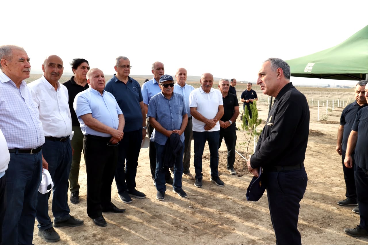 Prokurorluq əməkdaşları ağacəkmə kampaniyası keçirib
